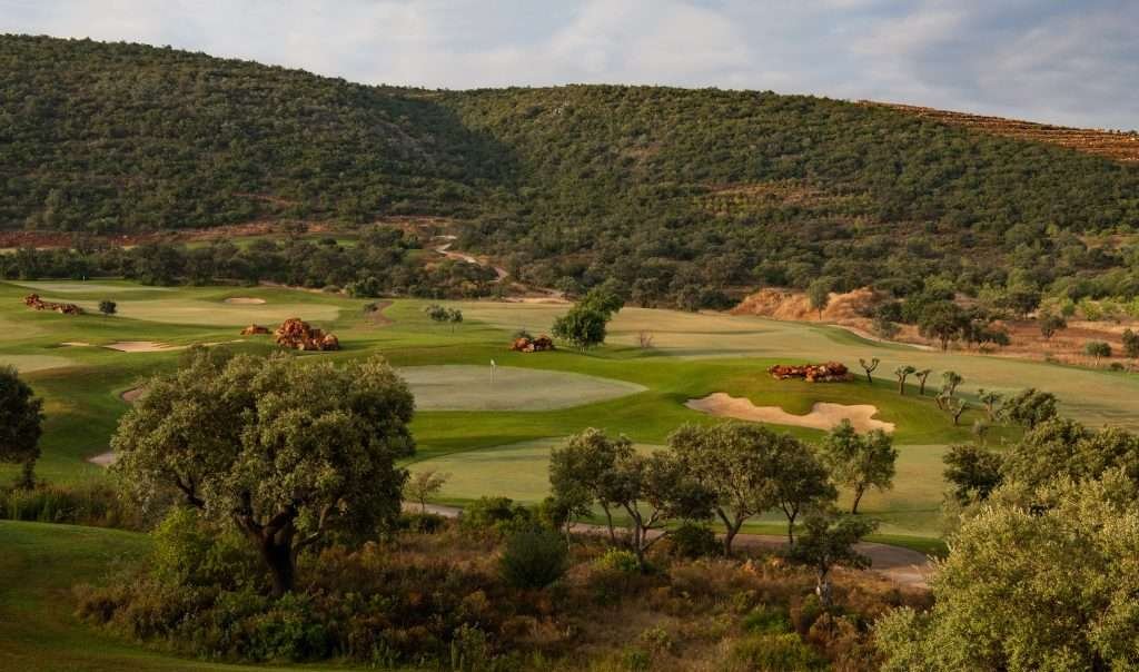 Convenience on the Green – Tony Judge